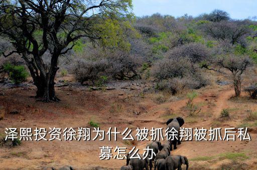 徐翔為什么會被抓，澤熙投資徐翔為什么被抓徐翔被抓后私募怎么辦