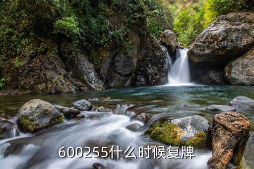 天邦股份什么時候復(fù)盤，601001什么時間復(fù)盤