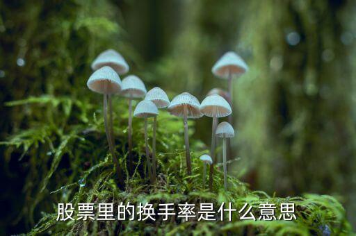 股票中換手率什么意思，股票里面的換手率是什么意思