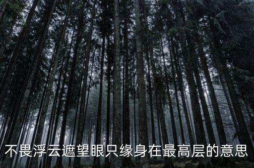 不畏浮云遮望眼什么意思，不畏浮云遮望眼 只緣身在最高層是什么意思