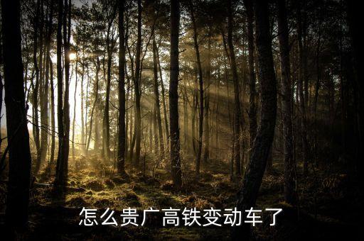 高鐵什么時候變動車，怎么貴廣高鐵變動車了