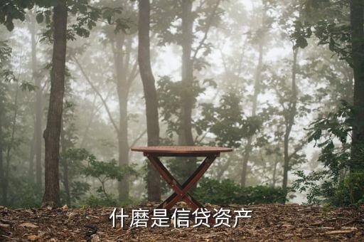 什么是類信貸資產(chǎn)，貸款類資產(chǎn)包括哪些