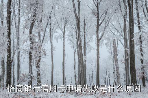 招商銀行信用卡申請(qǐng)失敗什么原因，招商銀行信用卡申請(qǐng)失敗是什么原因