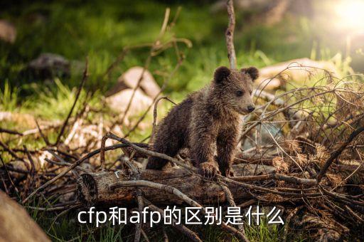 cfp是什么意思，AFPCFP是什么意思