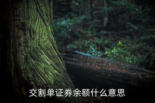 交割單中的剩余金額是什么，中原證券交割單里的本次金額什么意思