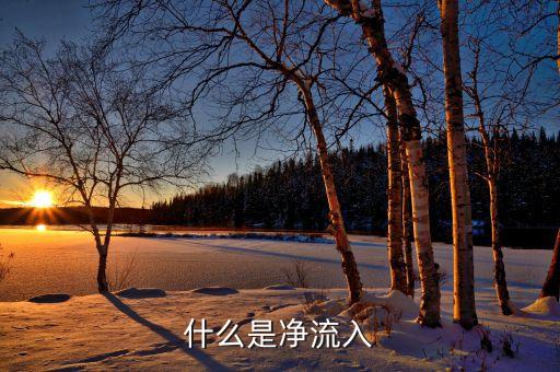 中單凈流入是什么意思，為什么中單凈流入與小單凈流入之和等于主力凈流入