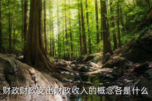 什么是財政支出，財政支農支出的含義是什么