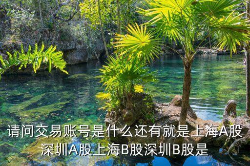股東賬號(hào)是什么，請(qǐng)問(wèn)交易賬號(hào)是什么還有就是上海A股深圳A股上海B股深圳B股是