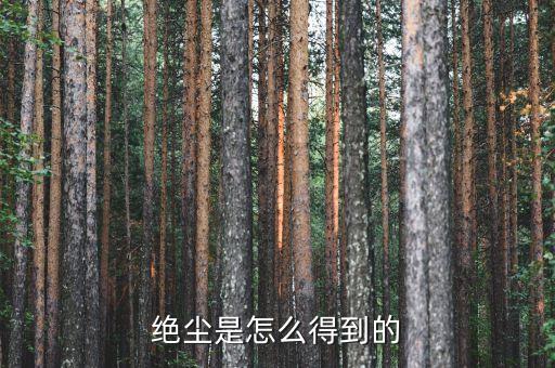 為什么絕塵貴，怎么弄到絕塵
