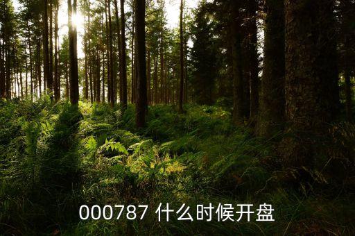 000787 什么時(shí)候開(kāi)盤