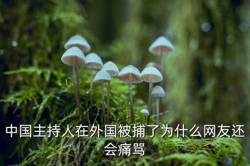 國網(wǎng)魏慶海出什么事了，中國主持人在外國被捕了為什么網(wǎng)友還會痛罵