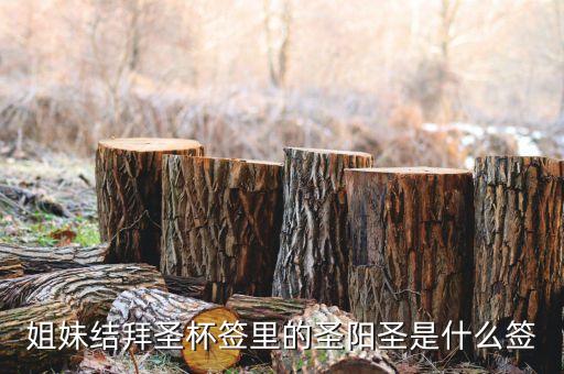 圣陽(yáng)圣屬什么簽，天災(zāi)禍不除我去拜佛了請(qǐng)問下這只簽是什么意思啊好