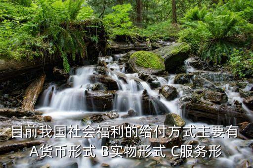 我國是什么福利型模式，目前我國社會福利的給付方式主要有 A貨幣形式 B實(shí)物形式 C服務(wù)形
