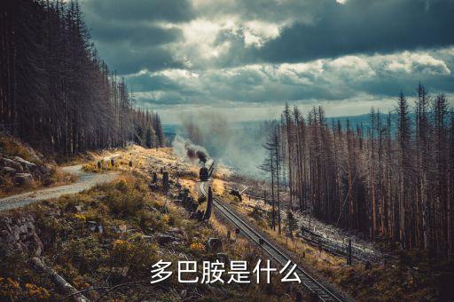 云藥是什么，rarely是什么意思