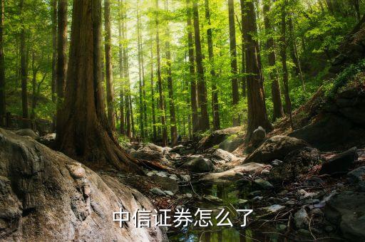 郭志榮為什么離開中信，中信證券怎么了