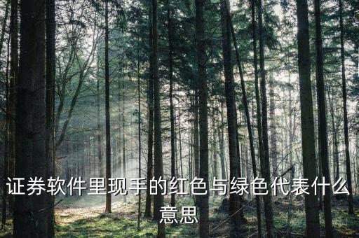 現(xiàn)手買賣單紅綠是什么意思，請問股票現(xiàn)手的綠字和紅字分別代表什么
