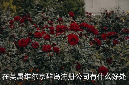 在英屬維爾京群島設(shè)立子公司有什么好處，設(shè)立子公司的好處有哪些