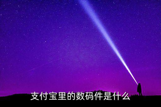 支付寶機具是什么，支付寶里的數(shù)碼件是什么