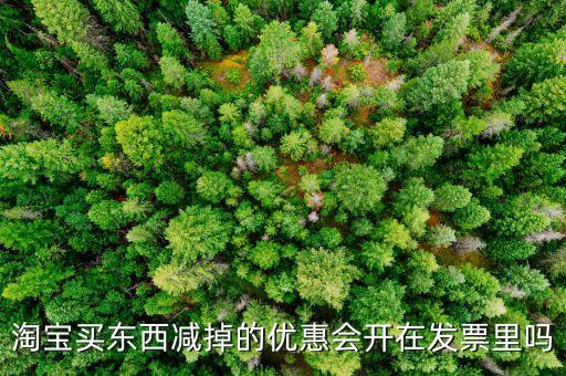 網(wǎng)店為什么貨票不同行，為什么網(wǎng)店賣的東西不能和發(fā)票一同送來