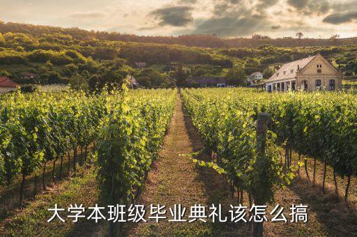 大學(xué)畢業(yè)典禮要干些什么，畢業(yè)典禮應(yīng)該我做什么事情