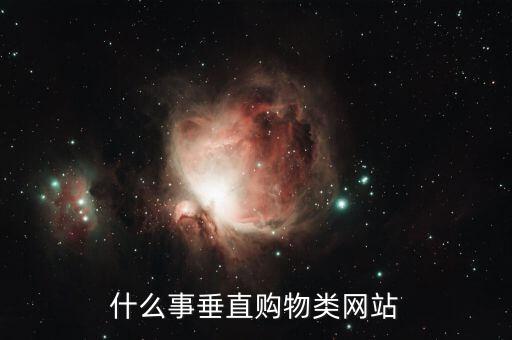 什么是垂直商城，o2o垂直商城是什么