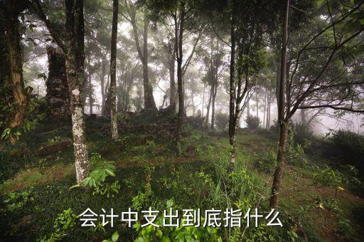支出責任是什么意思，負擔是什么意思
