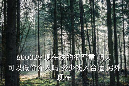 粵傳媒今天什么跌這么厲害，600029 現(xiàn)在跌的很嚴重 明天可以低價介入嗎 多少錢入合適 另外現(xiàn)在