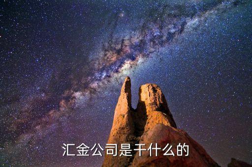 深圳惠程為什么匯金進駐，匯金公司是怎么回事