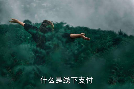 什么是線上線下支付，什么是線下支付