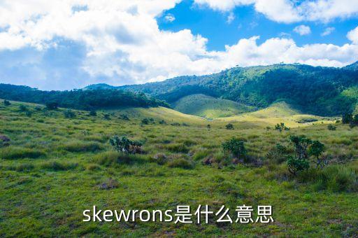 skewrons是什么品牌，伯思凱是什么牌子