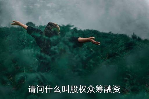 請問什么叫股權眾籌融資