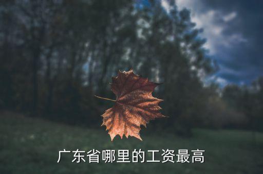 廣東工資最高什么地方，廣東什么地方打工工資最高