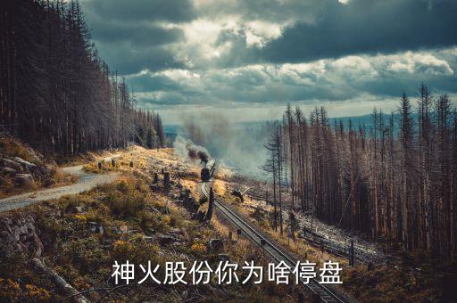 彩虹股份什么時候復(fù)牌，股票目前停牌一個月20114月重組概念重大事項 有哪些股票
