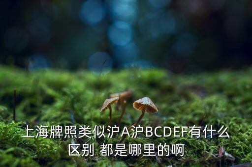 上海市政府牌照是滬什么，上海的車牌是滬還是浦