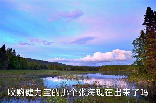 健力寶什么時(shí)候賣給張海，收購(gòu)健力寶的那個(gè)張?，F(xiàn)在出來(lái)了嗎