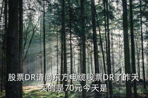 603606東方電纜屬于什么股票，丹 東 浪 頭 機(jī) 場 訂 票 熱 線 電 話 是 多 少