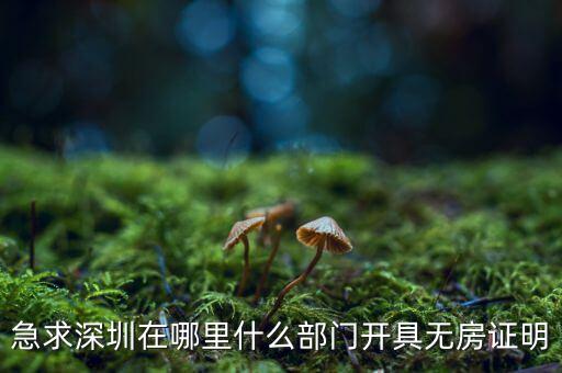 坪山國土局在什么地方，深圳哪座山比較有趣