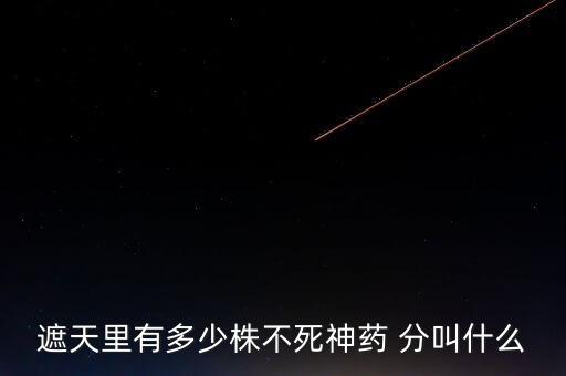 神藥代表什么，圣經(jīng)黃金沫藥什么含義