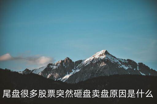 尾盤(pán)很多股票突然砸盤(pán)賣盤(pán)原因是什么