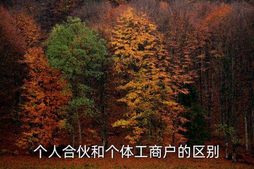 個人合伙領取什么經(jīng)營執(zhí)照，個人合伙辦理個體工商戶執(zhí)照