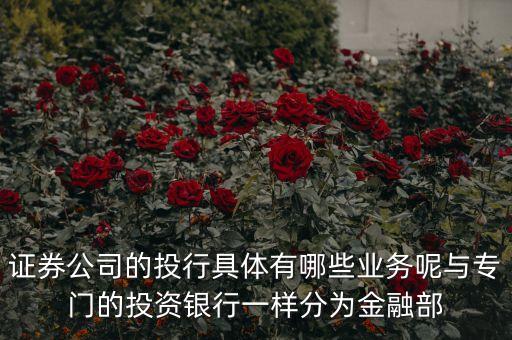 國內(nèi)券商投行部在做什么，國有四大行的投行部在做什么