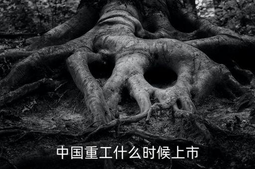 中國重工什么時候增發(fā)，中國重工上市時間