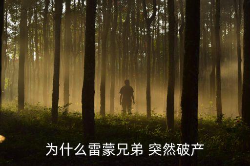 雷曼兄弟為什么破產(chǎn)，雷曼兄弟是因為什么而破產(chǎn)的