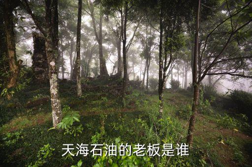 天海收購(gòu)英邁什么時(shí)間，信用卡能不能申請(qǐng)延遲2天海款