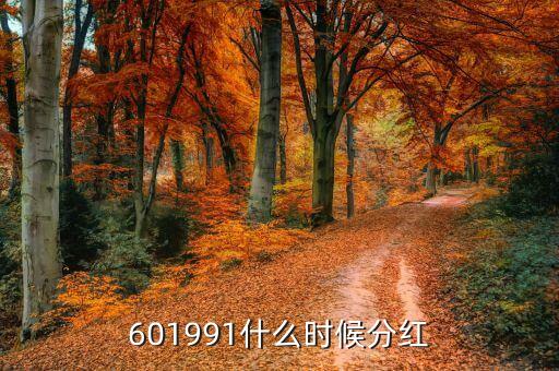 西泵股份什么時候分紅，西泵公司何時上市