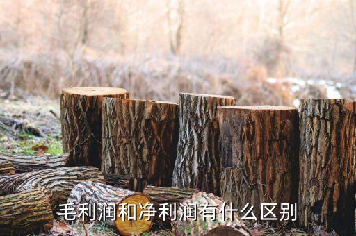 毛利潤(rùn)要減去什么才是凈利潤(rùn)，請(qǐng)問經(jīng)濟(jì) 利潤(rùn) 和 凈利潤(rùn) 有什么區(qū)別呢比如 一件衣服進(jìn)價(jià)60元
