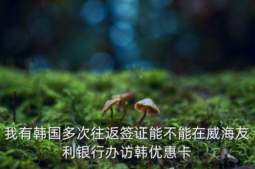 訪韓優(yōu)惠卡有什么作用，我有韓國多次往返簽證能不能在威海友利銀行辦訪韓優(yōu)惠卡
