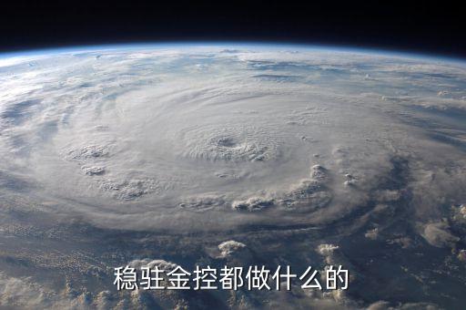 金控公司是干什么的，金控集團是干什么的