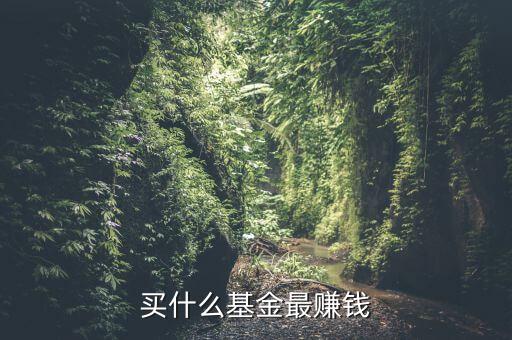 買什么基金賺錢，買什么樣的基金能賺錢