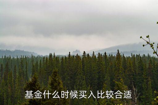 基金在什么時候買入，買入基金的最佳時機